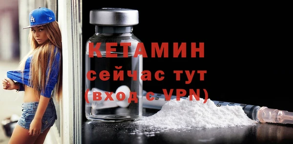 шишки Абаза