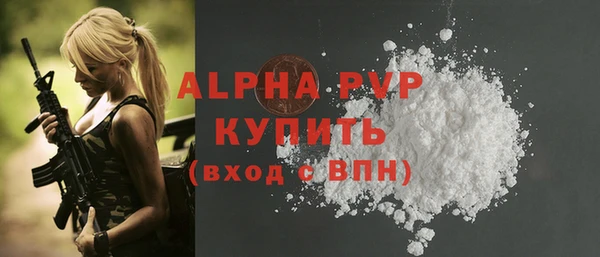 шишки Абаза