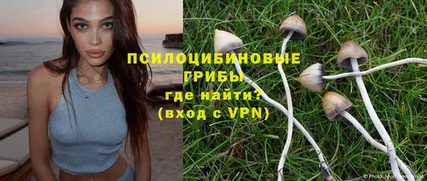 шишки Абаза