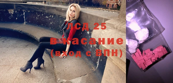 шишки Абаза