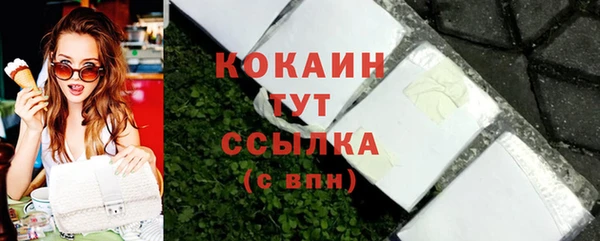 шишки Абаза