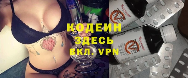 шишки Абаза
